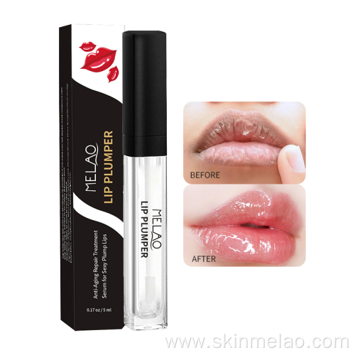 Lip Gloss Plumper Private Logo Tattoo Lipstick